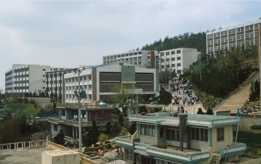 Trung tâm du học uy tín tại Nghệ An – Du học Vietlink