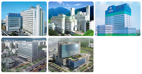 Trung tâm du học uy tín tại Nghệ An – Du học Vietlink