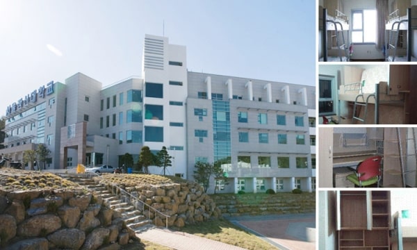 Trung tâm du học uy tín tại Nghệ An – Du học Vietlink