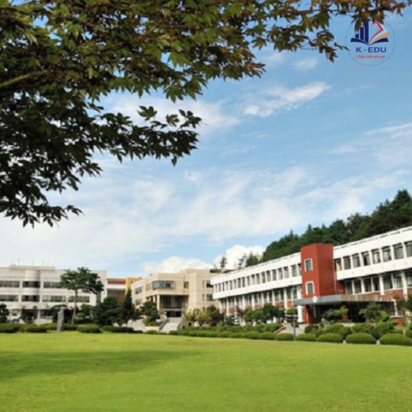 Trung tâm du học uy tín tại Nghệ An – Du học Vietlink