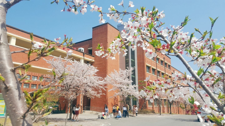 Đại học Yeongsan Hàn Quốc