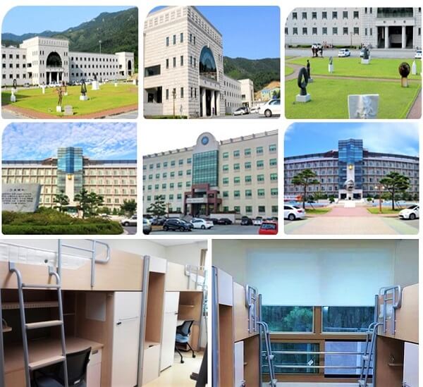Trung tâm du học uy tín tại Nghệ An – Du học Vietlink