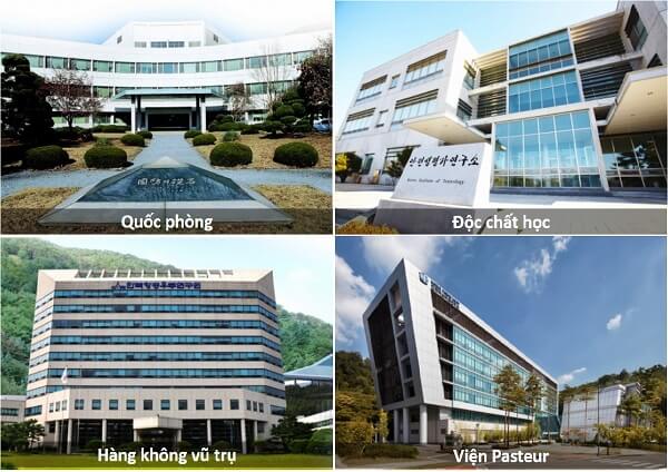 Trung tâm du học uy tín tại Nghệ An – Du học Vietlink