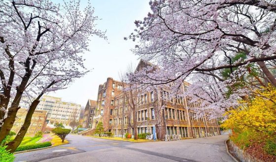 Trung tâm du học uy tín tại Nghệ An – Du học Vietlink