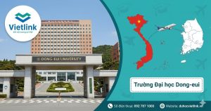 Trường Đại họcDong-eui
