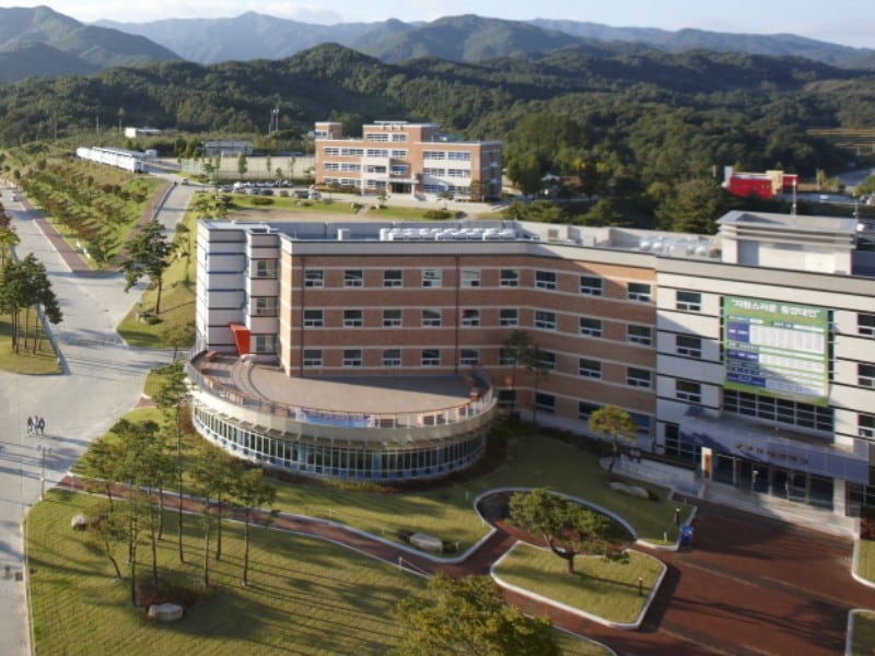 dongyang 1