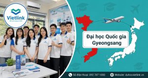 thumbnail dai hoc quoc gia gyeongsang nganh phi visa