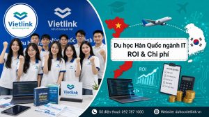 Du học Vietlink
