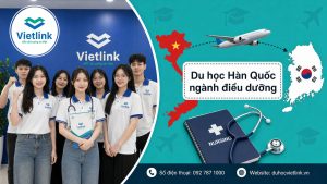 Du học Vietlink