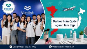 Du học Vietlink
