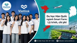 Du học Vietlink