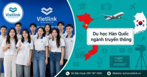 Du học Vietlink